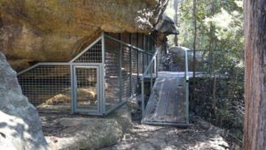 Blue Mountains Cave 